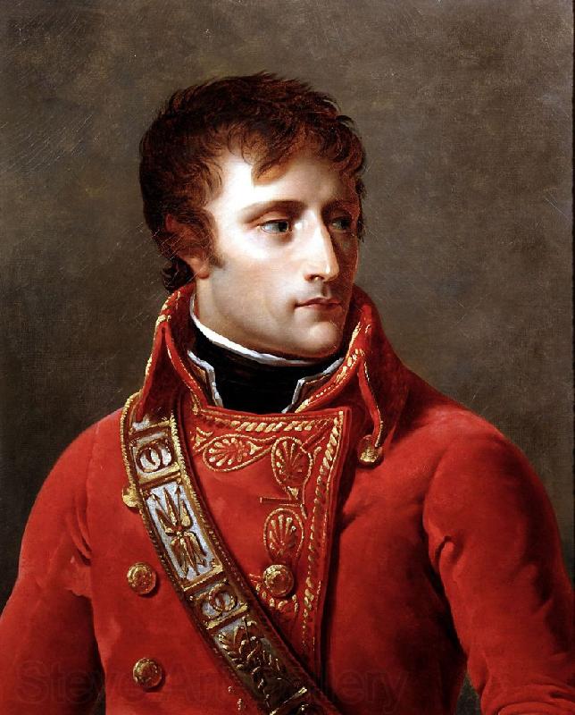 Baron Antoine-Jean Gros Portrait of Napoleon Bonaparte Spain oil painting art